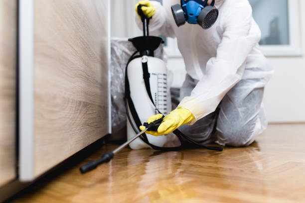 Best Emergency Pest Control  in Lawrenceville, VA
