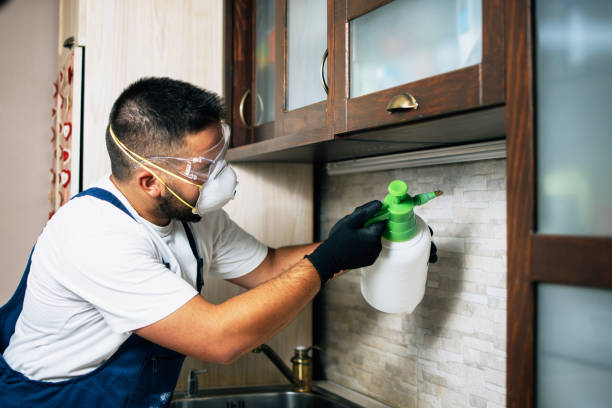 Best Termite Control Services  in Lawrenceville, VA