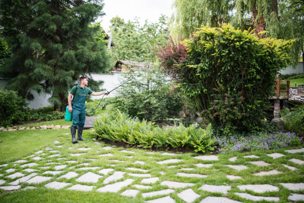 Best Best Pest Control Companies  in Lawrenceville, VA