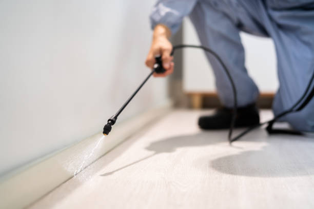 Best Commercial Pest Control Services  in Lawrenceville, VA