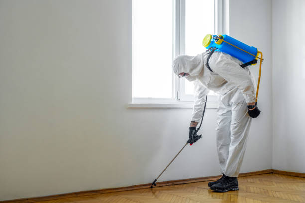 Best Best Pest Control Near Me  in Lawrenceville, VA