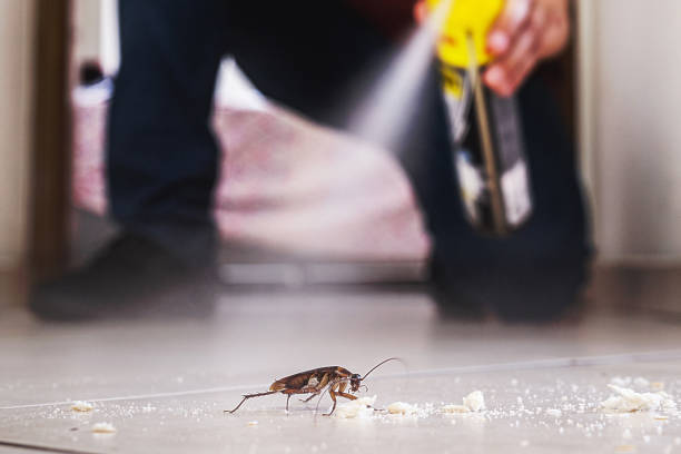 Pest Control Cost in Lawrenceville, VA