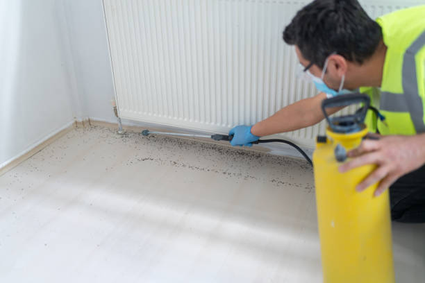 Best Pest Control for Restaurants  in Lawrenceville, VA